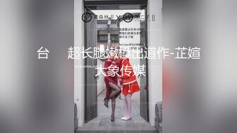 台��超长腿嫩模出道作-芷媗 大象传媒