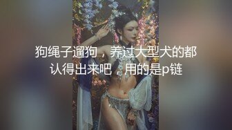 狗绳子遛狗，养过大型犬的都认得出来吧，用的是p链