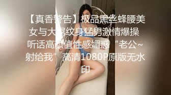 【91VDL123】推特极品人妻，露脸小少妇，孕期自拍，跟前男友性爱还存着 (2)