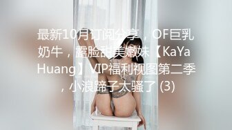 最新10月订阅分享，OF巨乳奶牛，露脸甜美嫩妹【KaYa Huang】VIP福利视图第二季，小浪蹄子太骚了 (3)