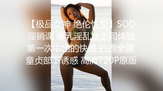 【极品女神 绝伦性爱】SOD淫销课 爆乳淫乱女上司体验第一次中出的快感 四点全露 童贞部下诱惑 高清720P原版