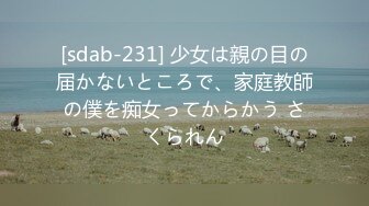 [sdab-231] 少女は親の目の届かないところで、家庭教師の僕を痴女ってからかう さくられん