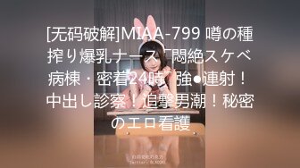 [MP4]国产AV 星空无限传媒 XK8165 性瘾骚女房车大战交警 晨晨