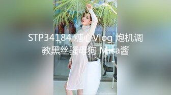 STP34184 糖心Vlog 炮机调教黑丝骚母狗 Misa酱