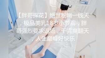 国产AV 蜜桃影像传媒 PMC080 亲兄弟一起干嫩模3P接力赛 孟若羽