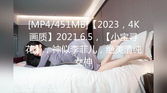 [MP4/451MB]【2023，4K画质】2021.6.5，【小宝寻花】，神似李菲儿，绝美清纯女神