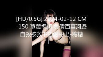 [MP4/ 457M] 666小祁探花门票168，清纯校花下海兼职，极品美乳让人把持不住，高颜值女神甜美干起爽