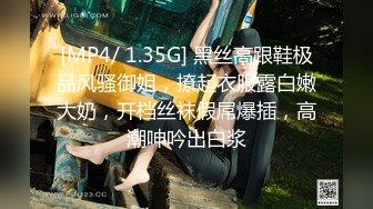 [MP4/ 1.35G] 黑丝高跟鞋极品风骚御姐，撩起衣服露白嫩大奶，开档丝袜假屌爆插，高潮呻吟出白浆