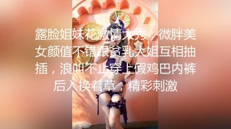 露脸姐妹花激情大秀，微胖美女颜值不错跟贫乳大姐互相抽插，浪叫不止穿上假鸡巴内裤后入换着草，精彩刺激