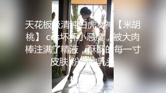 天花板 绝对是天花板级【陈陈尼】柔柔就出水，好看得要命，女仆装小美女，蜜桃臀筷子腿，极品撸管佳作 (3)