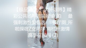 【极品稀缺❤️大开眼界】精彩公共场所啪啪被偷_拍❤️最强刺激性爱甄选❤️餐厅厕_所啪操宿Z女同学 高栏杆激情 高手在民间 (2)