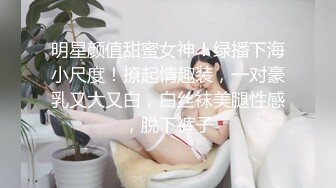 半半子 碧蓝航线 柴郡抱枕