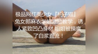 网恋良家妹子第一次见面 36D巨乳口活一级棒