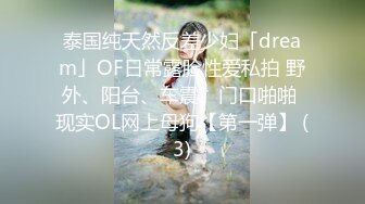 泰国纯天然反差少妇「dream」OF日常露脸性爱私拍 野外、阳台、车震、门口啪啪 现实OL网上母狗【第一弹】 (3)