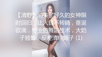 【清野】消失了好久的女神限时回归，让人目不转睛，垂涎欲滴，专业的舞蹈技术，大奶子翘臀，反差清纯婊子 (1)