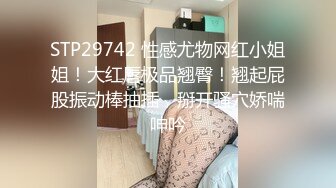 STP29742 性感尤物网红小姐姐！大红唇极品翘臀！翘起屁股振动棒抽插，掰开骚穴娇喘呻吟