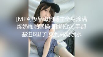 八块腹肌出道以来最精彩的一部,办公室老总们的约战(下) 