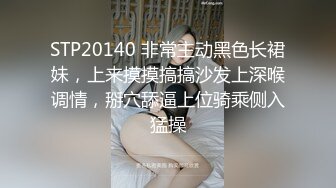 2024重磅核弹，推特网黄极品骚婊【露娜的異想世界】调教超市露出啪啪野战肛交足交，高挑白皙气质长发女神级别