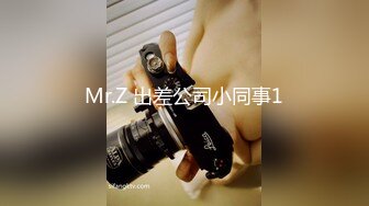 Mr.Z 出差公司小同事1