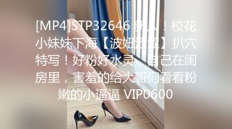 [HD/0.5G] 2023-03-27 爱豆传媒IDG-5413隔壁被家暴的人妻